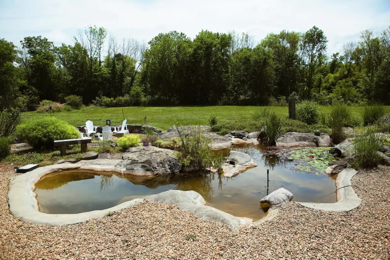 Terminal1344 Pond